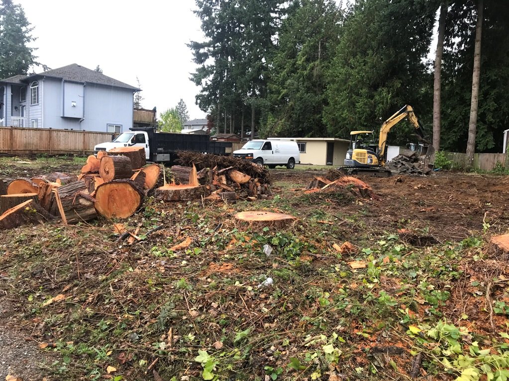 Everett, WA, photo 19